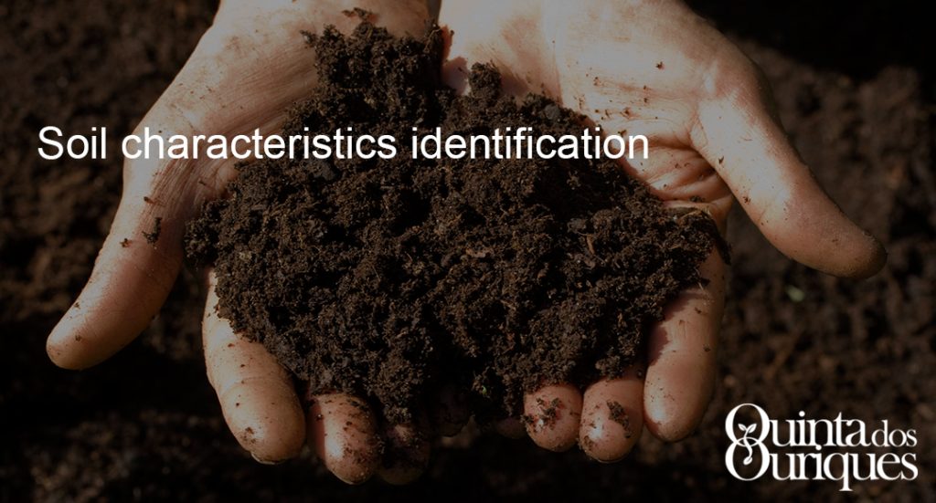 Soil characteristics identification Quinta dos Ouriques