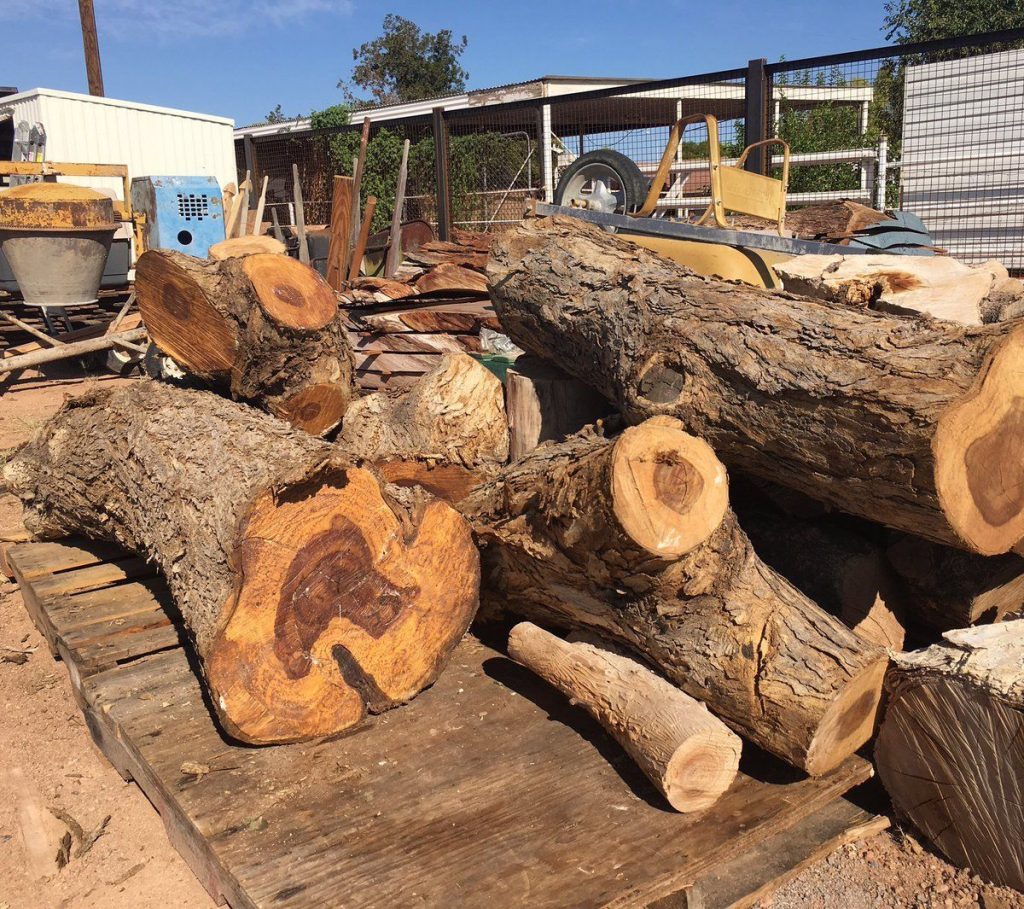 Dalbergia Sissoo shisham jacaranda, sheesham wood, shisham wood