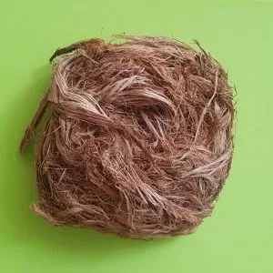 Acacia caesia - Palinja, Incha, Soap bark