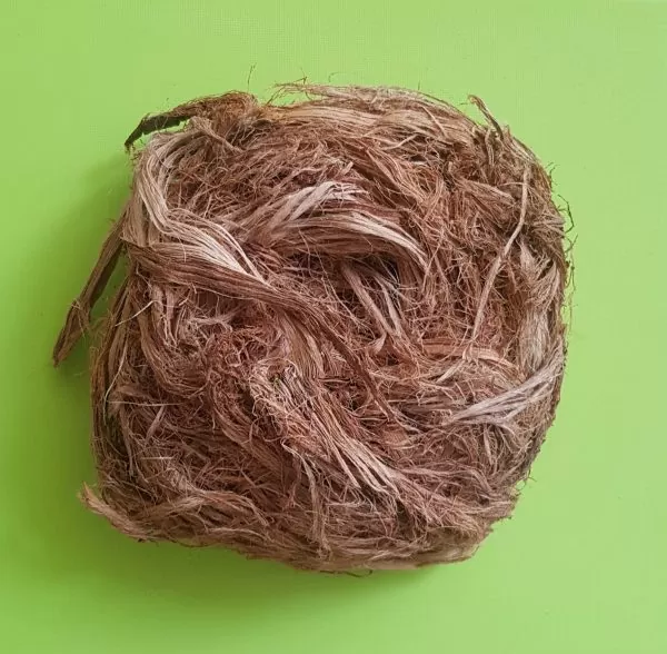 Acacia caesia - Palinja, Incha, Soap bark