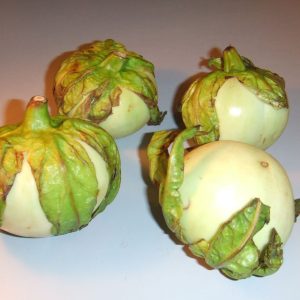Solanum macrocarpon - African Eggplant