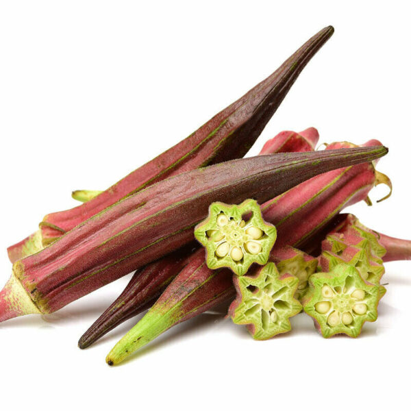 Abelmoschus esculentus 'Red Burgundy' / Hibiscus esculentus - Ladies Fingers, Ochro, Okra, Okro, Red Burgundy, Red Fruit, Quiabo - Image 7