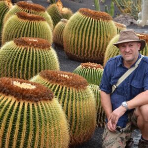 Echinocactus grusonii - Golden Barrel Cactus