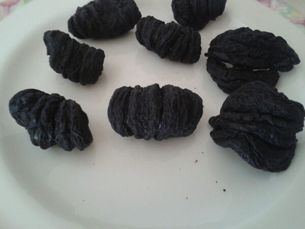 Garcinia gummi-gutta - Garcinia cambogia - Image 2