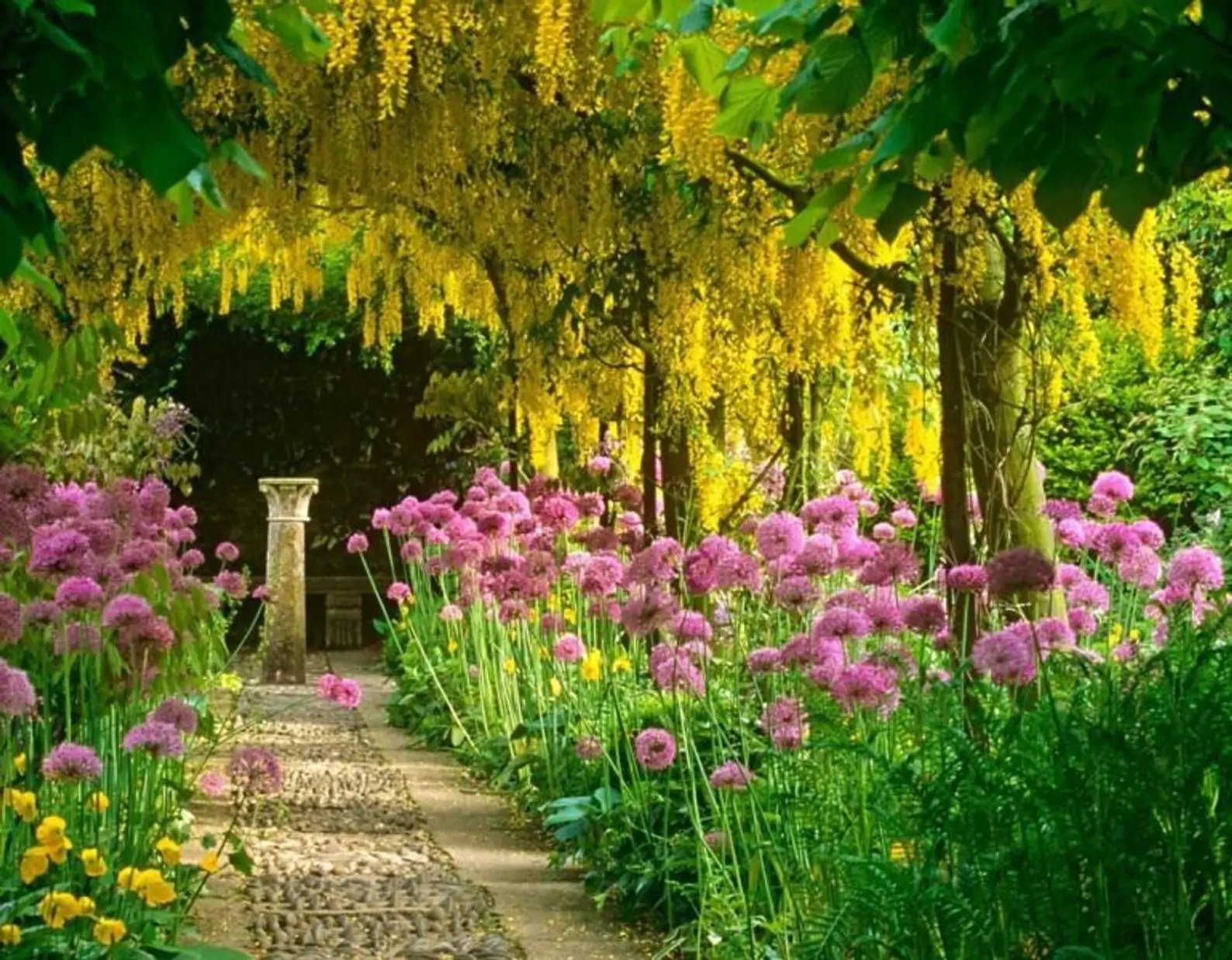 Видео сада с цветами. Красивый сад. Цветы в саду. Сад с цветами. Красивый парк с цветами.