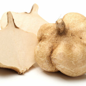 Pachyrhizus erosus - Jícama, Mexican yam bean, Mexican turnip