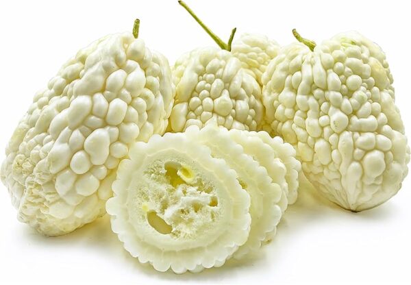 Momordica charantia 'White' - White Bitter Melon, White Bitter Apple, White Bitter Squash, White Bitter Gourd - Image 3