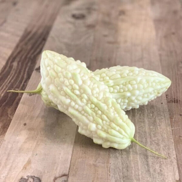 Momordica charantia 'White' - White Bitter Melon, White Bitter Apple, White Bitter Squash, White Bitter Gourd - Image 4