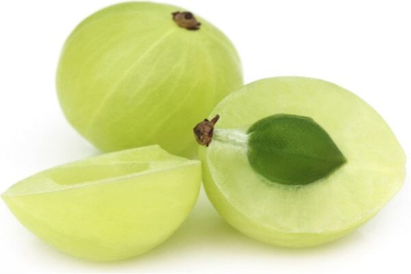 Phyllanthus acidus - Star Gooseberry - Image 2