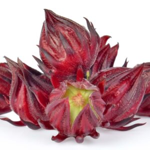 Hibiscus sabdariffa / Sabdariffa rubra / Abelmoschus cruentus - Roselle, Jamaican Sorrel, Florida Cranberry, Indian Roselle, Red Sorrel