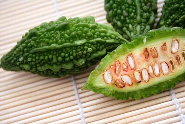 Momordica charantia 'Green' - Bitter Melon - Image 4