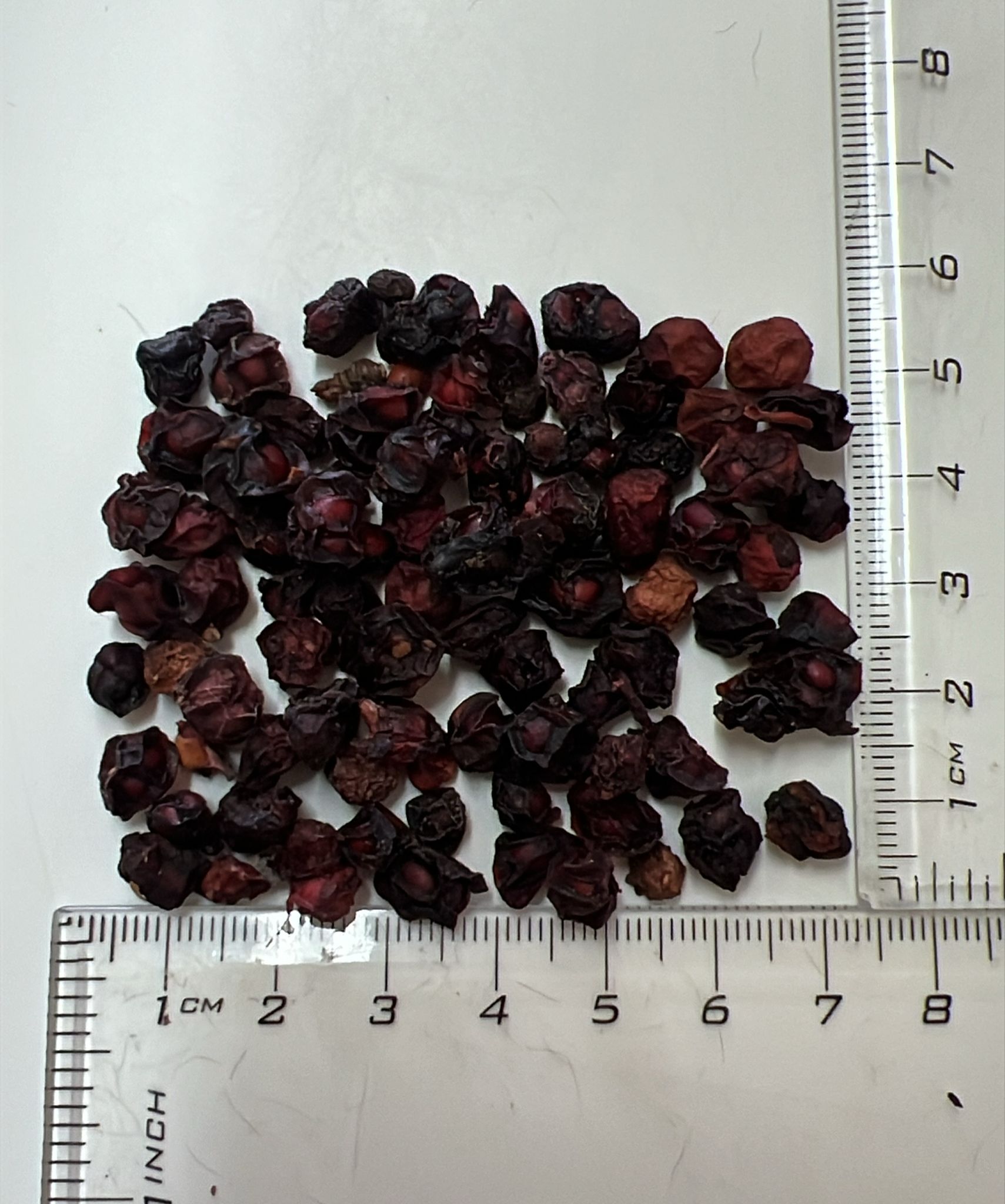 Schisandra chinensis - Magnolia-Vine, Chinese Magnolia-Vine, Schisandra, Magnolia Berry, Five-Flavor-Fruit - Image 11