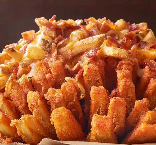 Allium cepa 'Rouge Foncé de Hollande' - Red Burgundy Onion, Brunswick Wine Onion, Dark Red Dutch Onion, Deep Red Holland Onion - Image 9