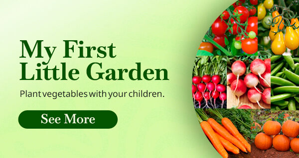 kit-my-first-little-garden-quinta-dos-ouriques-seeds-vegetables