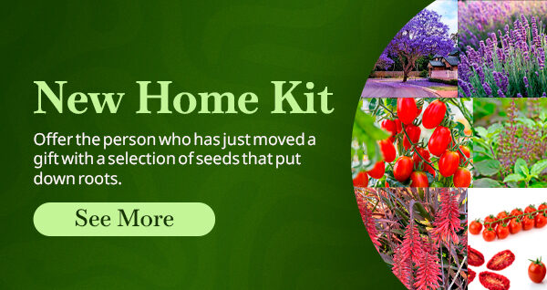 kit-new-home-quinta-dos-ouriques-seeds