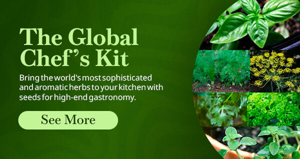 kit-the-global-chef-quinta-dos-ouriques-seeds-aromatic-herbs-kitchen