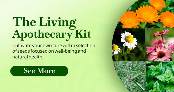 kit-the-living-apothecary-quinta-dos-ouriques-seeds-natural-health