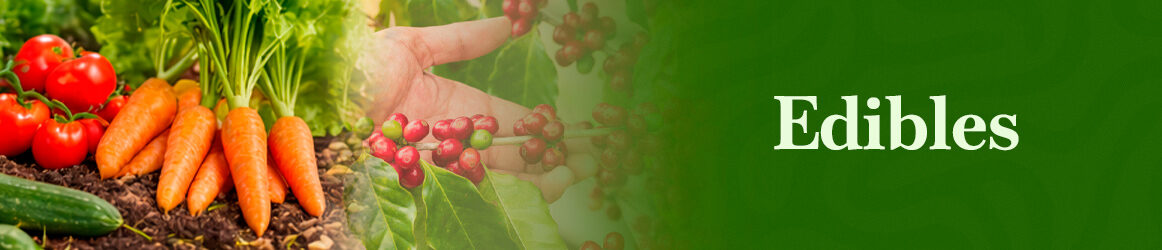 quinta-dos-ouriques-seeds-edibles