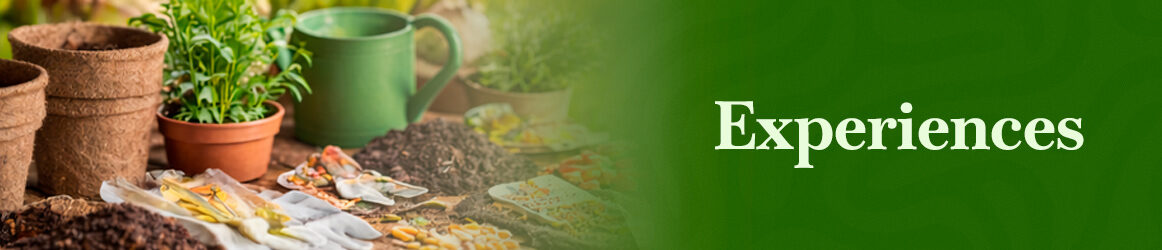 quinta-dos-ouriques-seeds-experiences