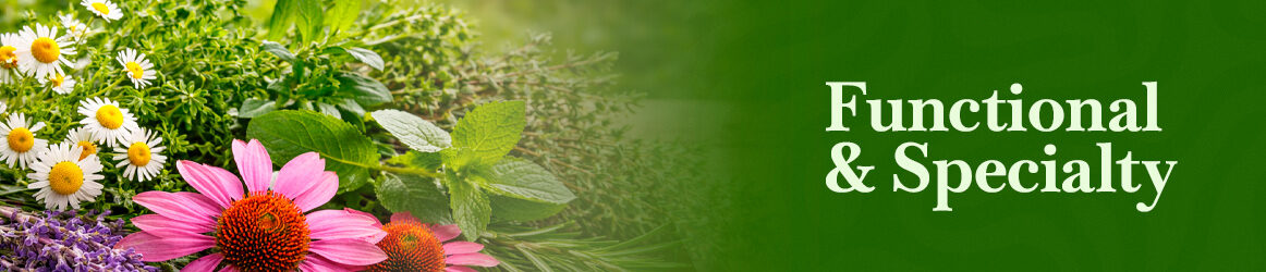 quinta-dos-ouriques-seeds-functional-and-specialty