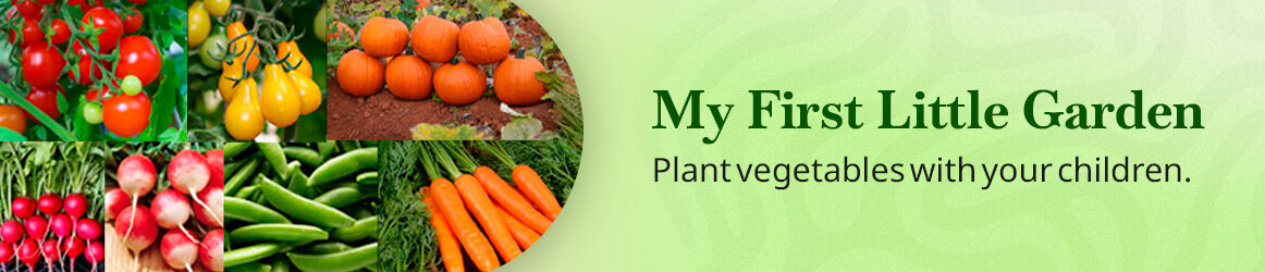 quinta-dos-ouriques-seeds-my-first-little-garden-banner