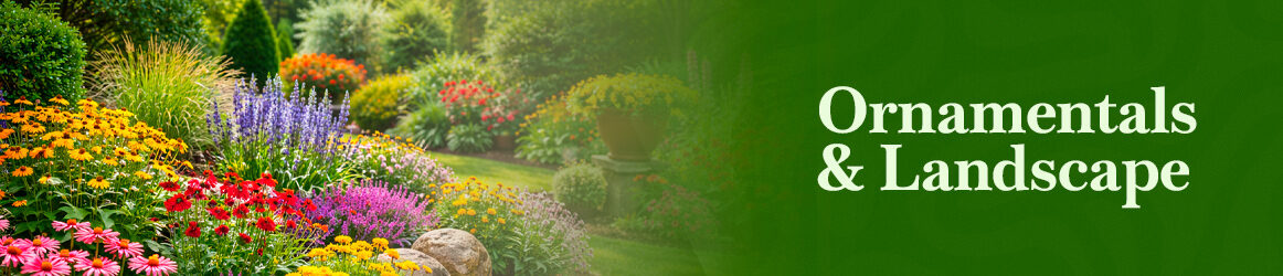 quinta-dos-ouriques-seeds-ornamentals-and-landscape