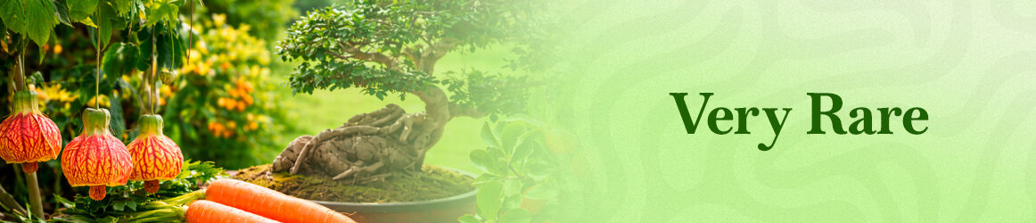 quinta-dos-ouriques-seeds-very-rare