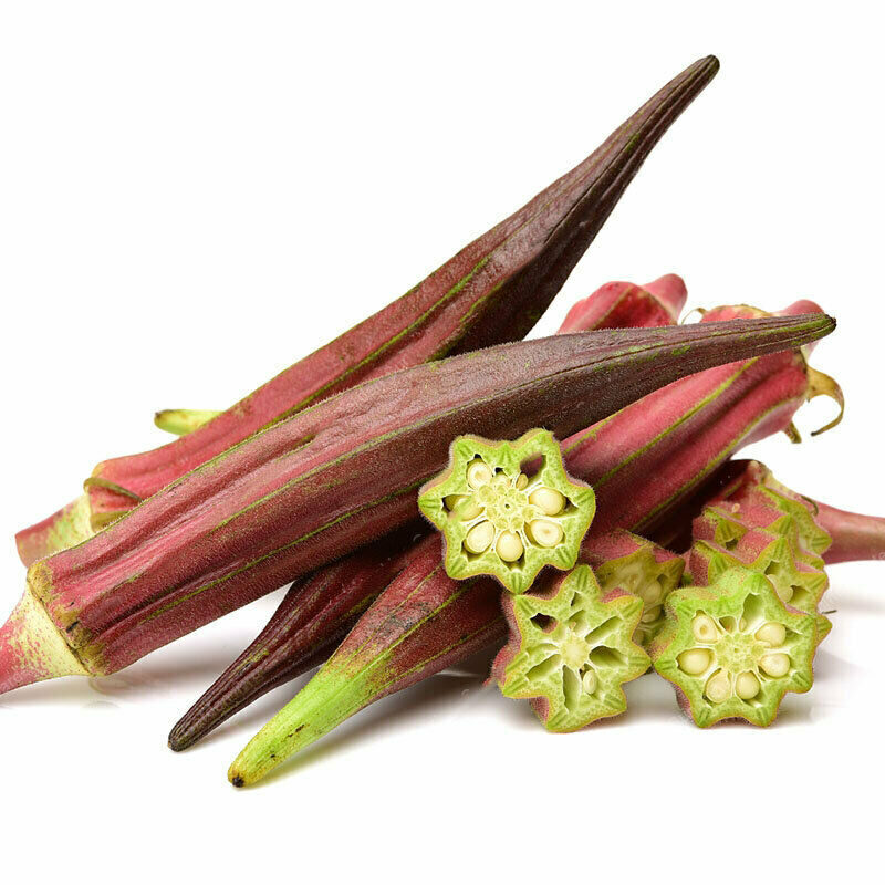 Abelmoschus esculentus 'Red Burgundy' / Hibiscus esculentus - Ladies Fingers, Ochro, Okra, Okro, Red Burgundy, Red Fruit, Quiabo - Image 6