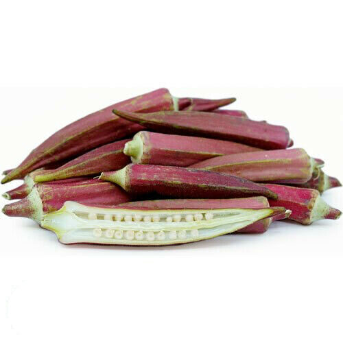 Abelmoschus esculentus 'Red Burgundy' / Hibiscus esculentus - Ladies Fingers, Ochro, Okra, Okro, Red Burgundy, Red Fruit, Quiabo