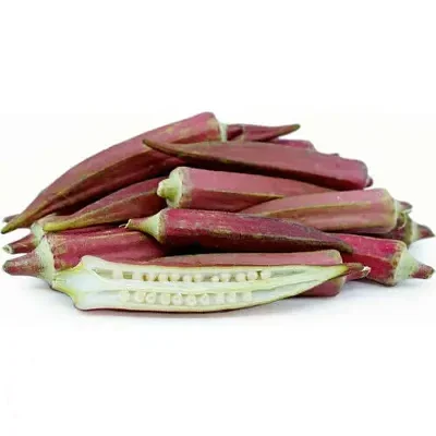 Abelmoschus esculentus 'Red Burgundy' / Hibiscus esculentus - Ladies Fingers, Ochro, Okra, Okro, Red Burgundy, Red Fruit, Quiabo