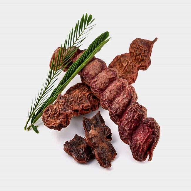 Acacia concinna / Acacia sinuata - Shikakai, Hair Fruit - Image 4