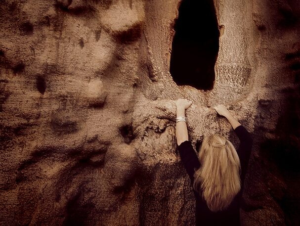 Adansonia digitata / Baobabus digitata - African baobab - Image 3