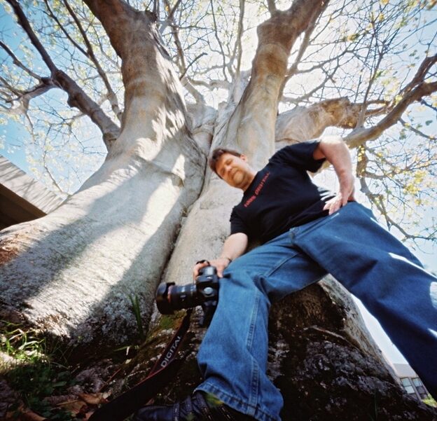 Adansonia digitata / Baobabus digitata - African baobab - Image 4