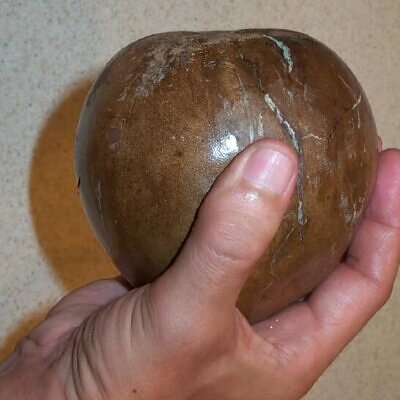 Alibertia patinoi / Borojoa patinoi - Borojó, Borojo