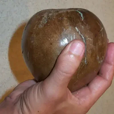 Alibertia patinoi / Borojoa patinoi - Borojó, Borojo