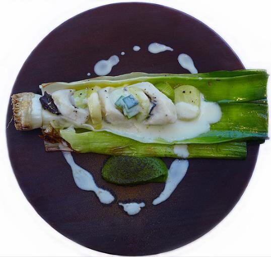 Allium ampeloprasum / Allium adscendens - Porrum Geant de Suisse, Wild Leek, Broadleaf Wild Leek, Giant Swiss Leek, Giant Swiss Leek Early Summer, Giant Leek - Image 10