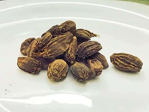 Amomum subulatum - Black Cardamom, Nepal Cardamom - Image 2