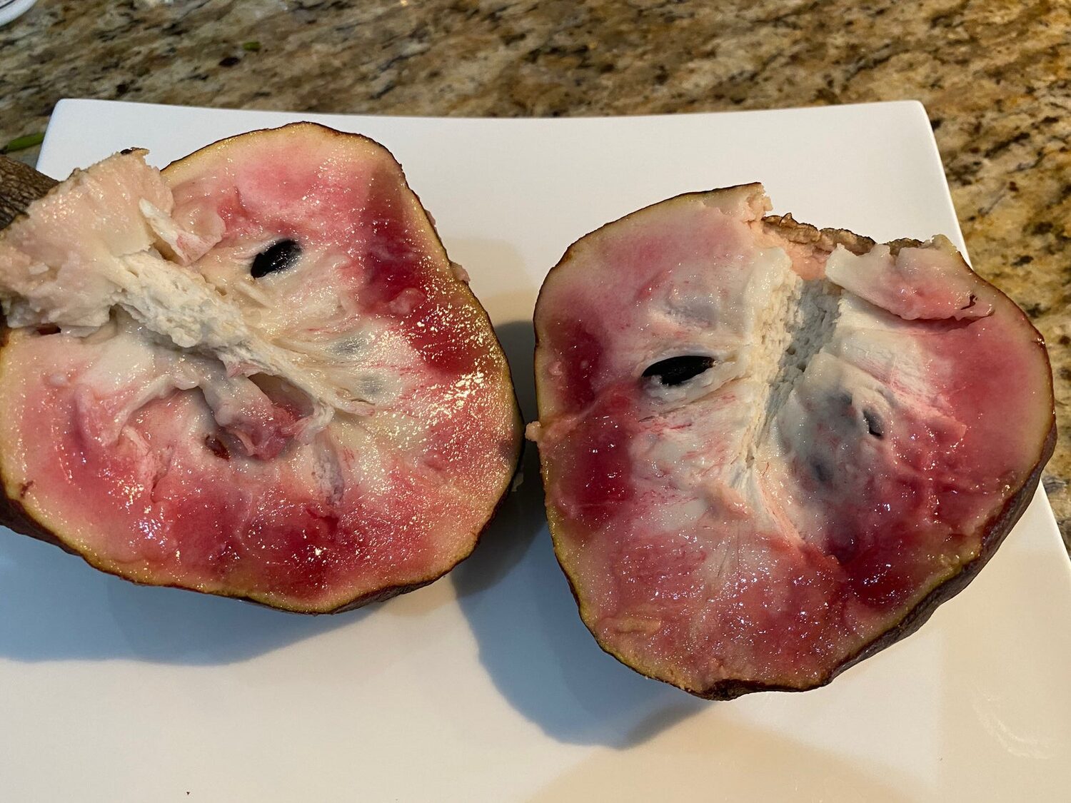 Annona reticulata - Wild Sweetsop, Custard Apple, Soursop, Bullocks Heart - Image 5