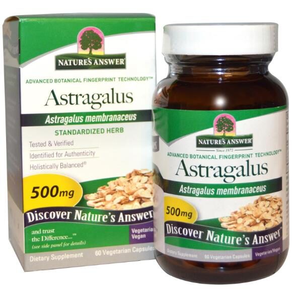 Astragalus propinquus / Astragalus membranaceus / Phaca membranacea - Astragalus membranaceus, Astragal, huang chi, chinese milk-vetch - Image 3