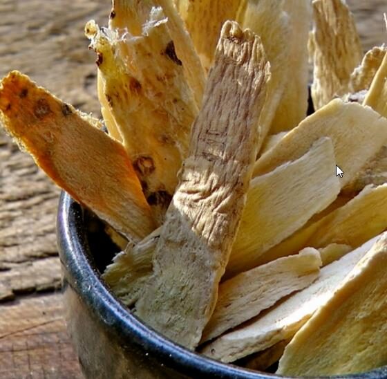 Astragalus propinquus / Astragalus membranaceus / Phaca membranacea - Astragalus membranaceus, Astragal, huang chi, chinese milk-vetch - Image 8