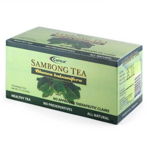 Blumea balsamifera - Sembung Balm, Ngai Cannon, Sambong, Mugongre - Image 9