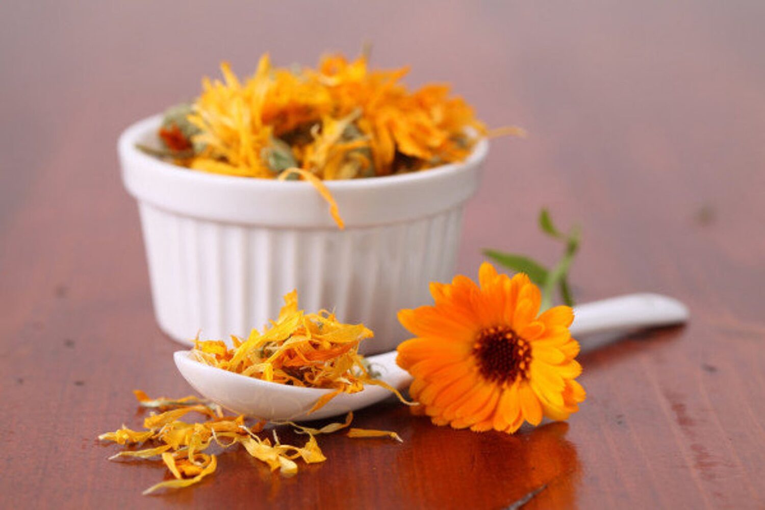 Calendula officinalis - Calendula, Marigold - Image 3