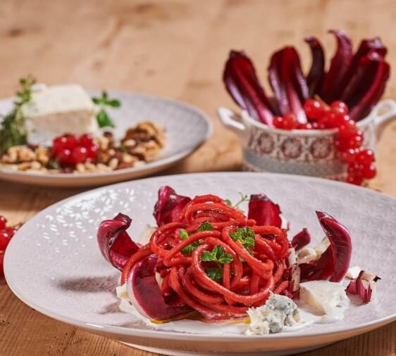 Cichorium intybus 'Rossa Di Treviso' - Radicchio, Italian Chicory, Red Chicory, Treviso Radicchio - Image 7