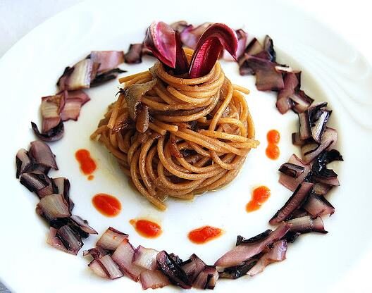 Cichorium intybus 'Rossa Di Treviso' - Radicchio, Italian Chicory, Red Chicory, Treviso Radicchio - Image 8