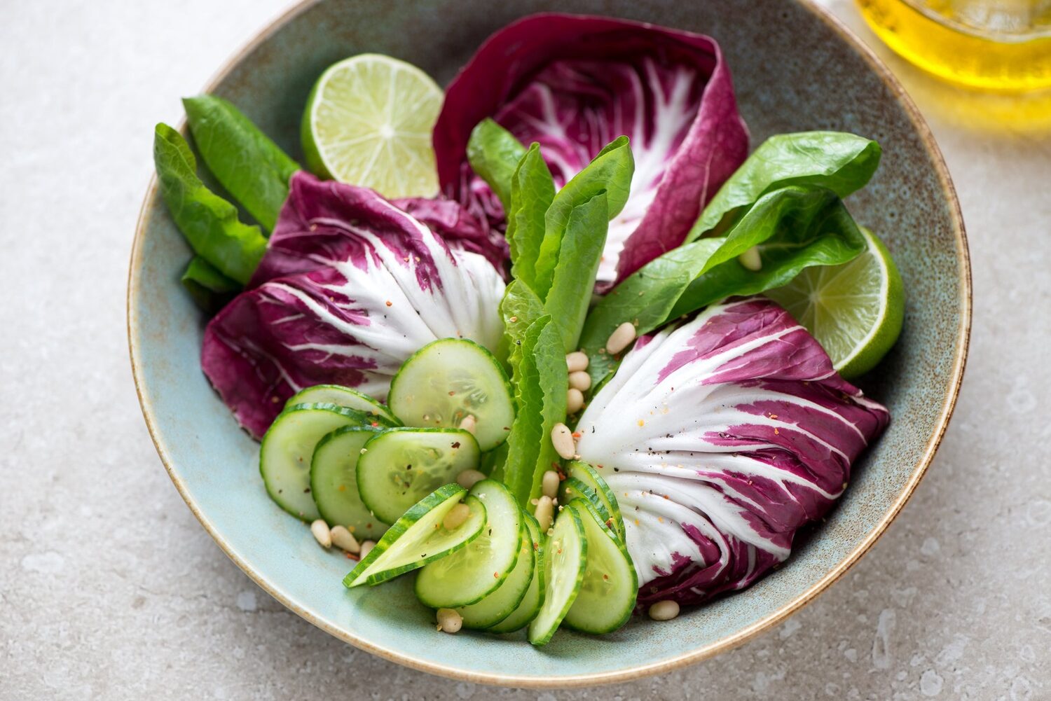 Cichorium intybus 'Rossa Di Treviso' - Radicchio, Italian Chicory, Red Chicory, Treviso Radicchio - Image 13