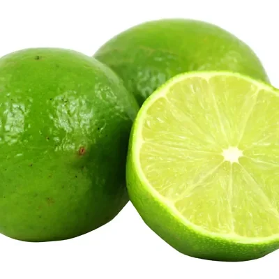 Citrus aurantifolia / Citrus × aurantiifolia - Key Lime, West Indian Lime, True Lime