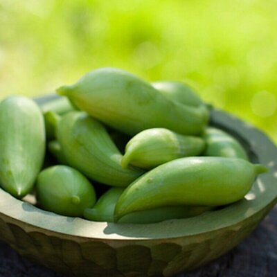Cyclanthera pedata - Caigua, Slipper Gourd,  Stuffing Cucumber