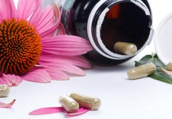 Echinacea purpurea - Echinacea, Equinácea, Equinacia, Cone Flower, Rudbeckia - Image 7