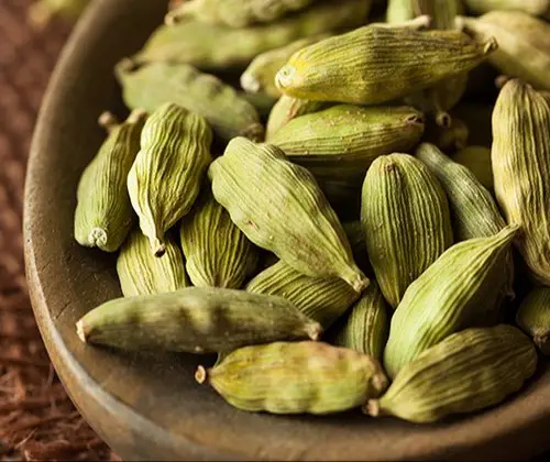 Elettaria cardamomum - True Cardamom, Green Cardamom - Image 6