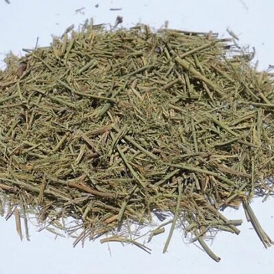 Ephedra Sinica - Chinese Ephedra, Mormon Tea, Brigham Tea, Chinese Jointfir, Cao Ma Huang